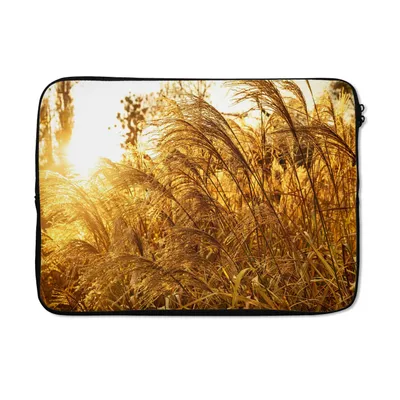 Produktbild von MuchoWow® Laptop Hülle 13 Zoll Pampasgras - Sonne - Gras Laptoptasche - Laptophülle - Sleeve - Rundumschutz