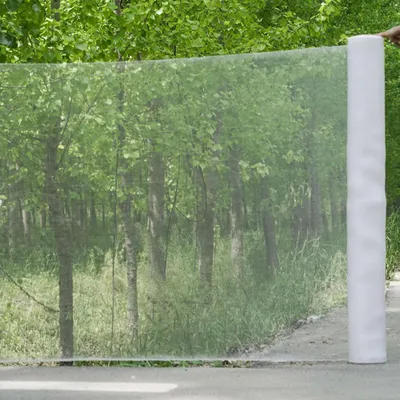 Image de Filet de protection pour les plantes, 3 m x 10 m