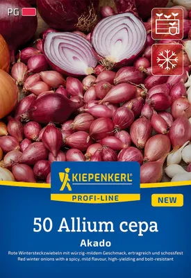 Produktbild von Kiepenkerl Wintersteckzwiebel Akado - rot Allium cepa 50 Zwiebeln