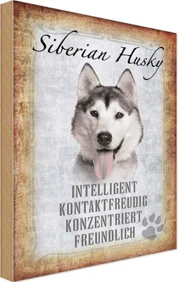 Produktbild von vianmo Holzschild 18x12 cm Siberian Husky Hund Tier Haustier