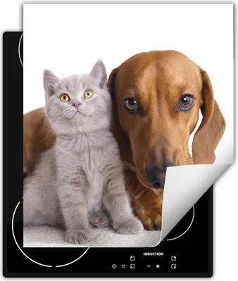 Produktbild von DarHaus Herdabdeckplatte 45x52 cm Anti Rutsch Matte Aufrollbar, Katze und Hund