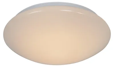 Zdjęcie produktu dla Lampa sufitowa Montone 30 LED biała