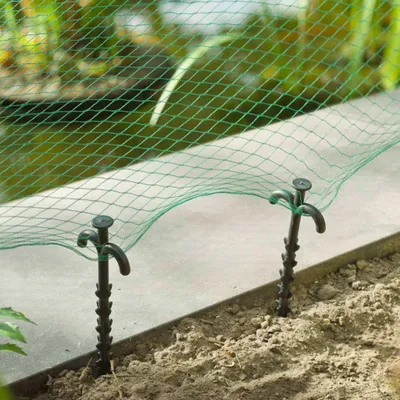 Immagine prodotto di Natura 10 pezzi. Ancora in rete 25 cm