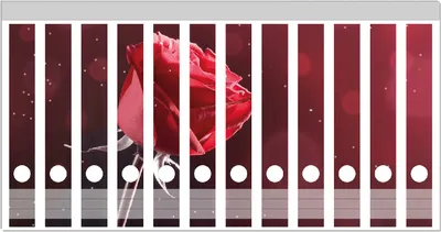 Produktbild von Wallario Ordnerrücken Sticker, selbstklebend für schmale Ordner, 12 Stück, Motiv Rote Rose Single