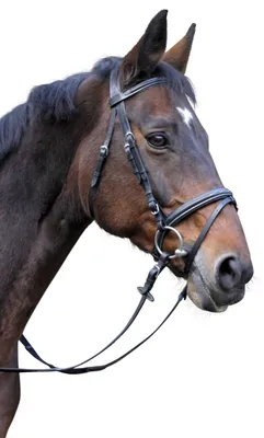 Productafbeelding van Kerbl hoofdstel met neusriem, Classic, bruin leer, pony, 324911