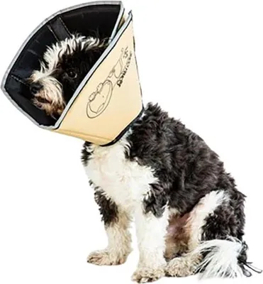 Productafbeelding van Famanu Halsbanden voor honden en katten - Bruin, maat S