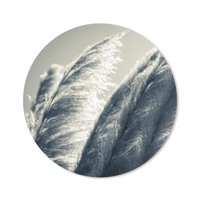 Produktbild von MuchoWow® Mauspad Mousepad Pampasgras - Schwarz - Weiß - Natur 20x20 cm - Mousepads - Maus Mat - Pad - Mausunterlage - Schreibtischmatte