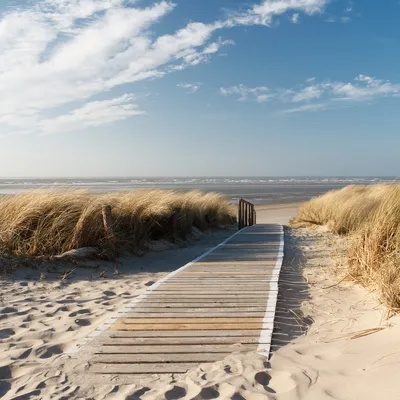 Produktbild von Wallario Premium Glasbild, freischwebende Optik, kräftige Farben, Größe 50 x 50 cm Motiv Auf dem Holzweg zum Strand