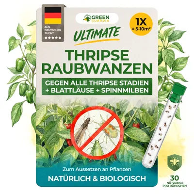 Produktbild von Orius Raubwanzen gegen Thripse - 1x Röhrchen - Thripse bekämpfen, Raubwanzen gegen Thripse, Mittel gegen Thripse, Blattläuse bekämpfen, Effektiv