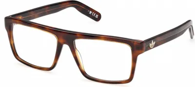 Produktbild von Adidas Originals OR5144 Dark havana 55/15/145 Herren Brillen
