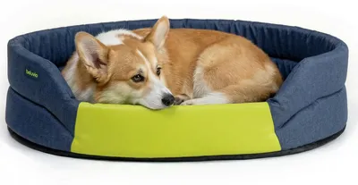 Produktbild von Peluvio Arita Hundebett Wasserabweisend Pflegeleicht rutschfest