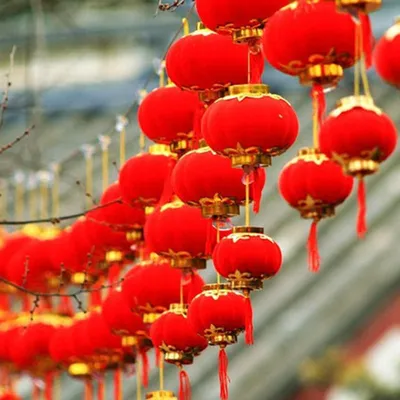 Productafbeelding van 16 stuks Chinese rode lantaarns, decoratie voor het Chinese Nieuwjaar, lantaarns voor het voorjaarsfestival