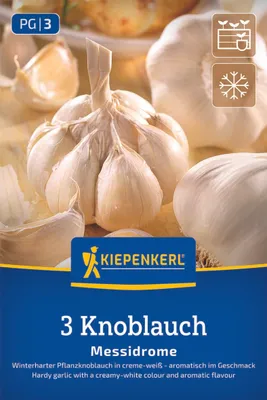 Produktbild von Kiepenkerl Winterpflanzknoblauch Messidrome - weiß Allium sativum 3 Knollen