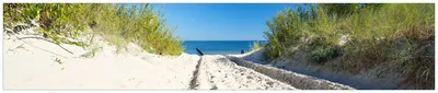 Produktbild von Wallario Küchenrückwand aus Glas, Größe: 250 x 50 cm, Motiv: Auf dem Sandweg zum Strand - Blauer Himmel über dem Meer | Spritzschutz | abwischbar | pflegeleicht | in