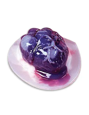 Produktbild von Puddingform Herz Halloween Party-Gadget transparent 20x15x7,5cm