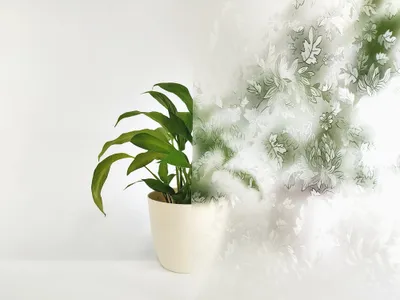Produktbild von 121-004 Folia samoprzylepna transparentna - ARKUSZE - Szerokość 122 cm