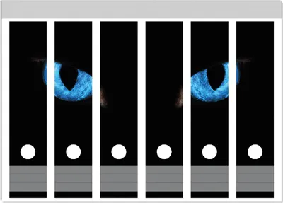 Produktbild von Wallario Ordnerrücken Sticker, selbstklebend für breite Ordner, 6 Stück, Motiv Blaue Katzenaugen bei Nacht