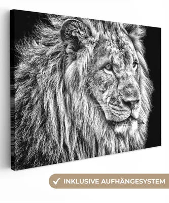 Produktbild von MuchoWow® - Leinwandbilder - Porträt - Löwe - Schwarz und weiß, Wandbild, Wanddeko Bilder Wohnzimmer, 80x60 cm