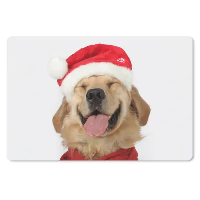 Produktbild von MuchoWow® Mauspad Mousepad Hund - Lustig - Lachen - Kinder - Jungen - Mädchen 27x18 cm - Mousepads - Maus Mat - Pad - Mausunterlage - Büroartikel - Desk Matten