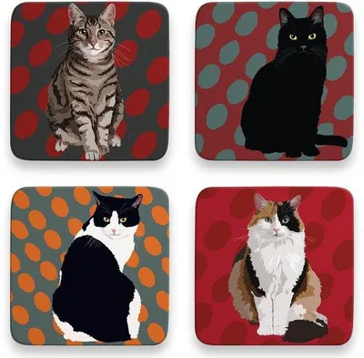 Image de Boîte pour chat, lot de 4