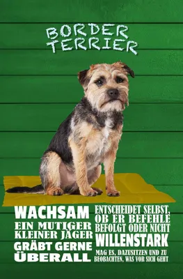 Produktbild von vianmo Holzschild 30x20 cm Border Terrier Hund wachsam Tier Haustier