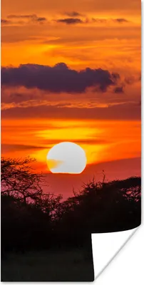 Produktbild von MuchoWow® Poster Blick auf den Sonnenuntergang im Serengeti-Nationalpark in Tansania 20x40 cm - Plakat - Foto