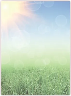 Produktbild von Motivpapier Briefpapier (Wiese-5168, DIN A4, 25 Blatt) - blauer Himmel strahlender Sonne und frische grüne Wiese
