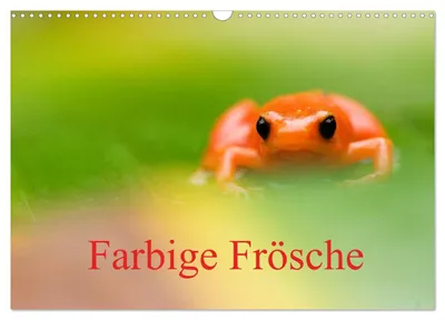 Produktbild von Farbige Frösche (Wandkalender 2027 DIN A3 quer), CALVENDO Monatskalender