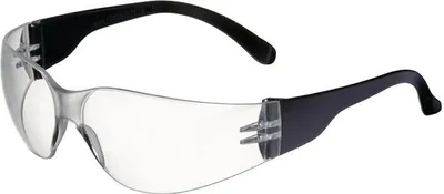 Image de Lunettes de protection Daylight Basic EN 166 branches noires, écran incolore PC PROMAT