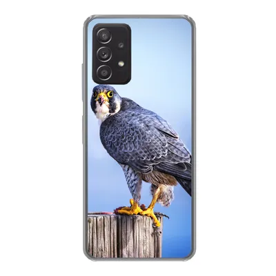 Produktbild von MuchoWow® Handyhülle Schutzhülle Hülle für Samsung Galaxy A33 5G Nahaufnahme eines Raubvogels auf einer dicken Holzstange Silikon Softcase Handy Hülle - Kartenhalter
