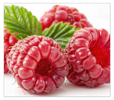 Produktbild von Spritzschutz Herdabdeckplatte Schneidebrett aus Glas Frische Himbeeren 1-Teilig (60x52cm)