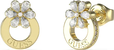 Image de Boucles d'oreilles assorties en acier doré Lily JUBE05108JWYGT/U