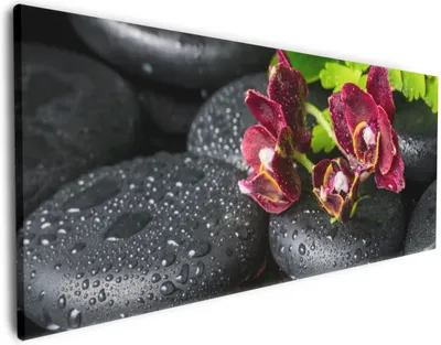 Produktbild von Wallario Premium Leinwandbild Dunkelrote Orchideen-Blüte auf schwarzen Steinen mit Regentropfen in Größe 50 x 125 cm