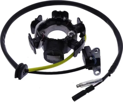 Zdjęcie produktu dla Stator alternatora do Hondy XR 80 R z lat 1992–2003 firmy pamoto – nowy