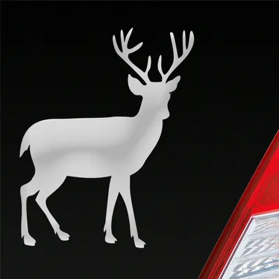 Produktbild von Auto Aufkleber Hirsch Reh Bock Deer Wild Jagd Wald Jäger KFZ Car 9,5x12 cm Silber Sticker Heckscheibenaufkleber
