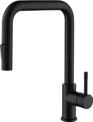 A black kitchen faucet against a white background.
