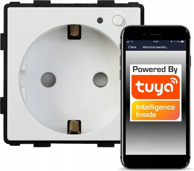 Image de Boîte d'encastrement commandée par WiFi TUYA RTX SH