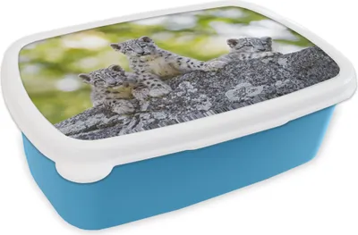 Obrázek produktu pro KitchenYeah® Lunchbox Lunchbox 17x11 cm Leopard - Mláďata - Kameny Dětský svačinový box - Oběd - Plastový - Chlebník - Sendvičový box - Obědový box pro děti