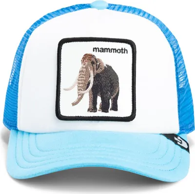 Produktbild von Goorin Bros. Mammoth Kiddo Kids Trucker Cap Light Blue