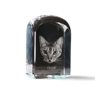 Obrázek produktu pro Ocicat křišťál pečeť s kočkou Art-Dog
