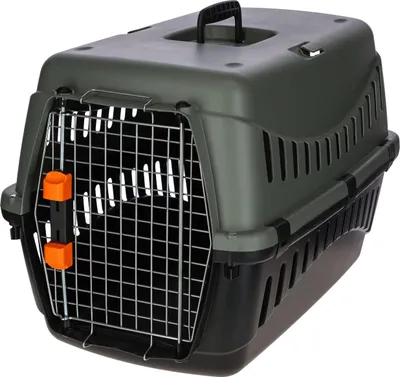 Immagine prodotto di Kerbl Transportbox Eco (L x B x H 60 x 40 x 38,5 cm, mit Wassernapf) 80561