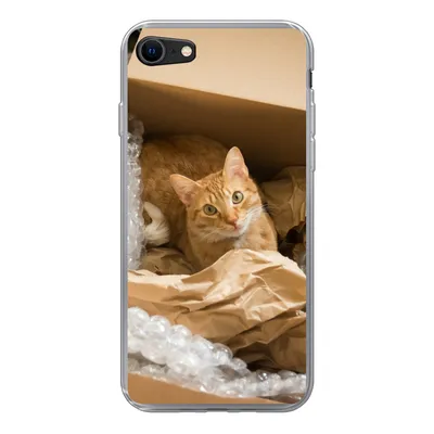 Produktbild von MuchoWow® Handyhülle Schutzhülle Hülle für iPhone SE 2020 Katze - Box - Rot Silikon Softcase Handy Hülle - Kartenbesitzer