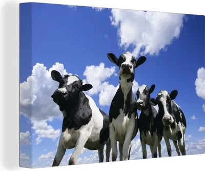 Produktbild von OneMillionCanvasses® - Leinwandbilder - 150x100 cm, Kuh - Luft - Tiere, Wandbilder Kunstdruck Wanddekoration