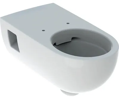 Immagine prodotto di Geberit Renova Nr. 1 Comfort WC à réservoir profond, sans rebord, 6/5 l, forme partiellement fermée, suspendu, 500.693.01.1, 500.693.01.1