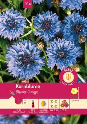 Artikelbild 1 von 'Kornblume Blauer Junge' aus der Kategorie Kornblumensamen