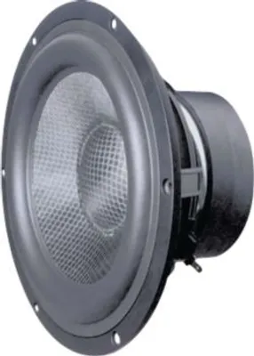 Produktbild von Visaton W 200 S 8 Zoll 23.2cm Tieftoener 75W 4?, 9029, Schwarz