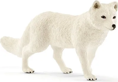 Zdjęcie produktu dla Schleich - Lis polarny - Schleich - (Zabawki / Figurki)