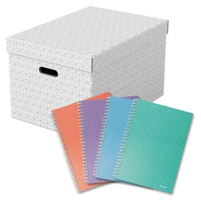 Image de Boîte de rangement pour la maison Esselte, taille L, blanc, 3 pièces