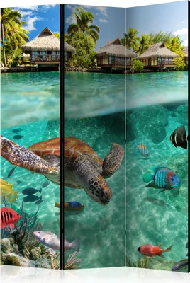 Productafbeelding van Driedelig, dubbelzijdig roomverdelersysteem - Onder het wateroppervlak, 135x172 cm, dieren, model c-A-0027-z-b