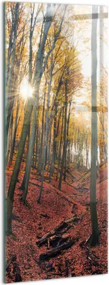 Produktbild von Designer Glasbild - Wandbild - Glas Bild - 50x125 cm - Sonnenuntergang Und Bäume